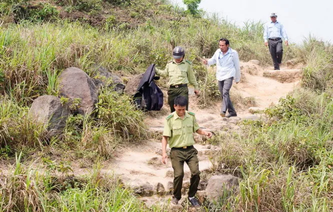 Lực lượng kiểm lâm vây bắt khỉ - Ảnh: Tấn Lực Lực lượng kiểm lâm vây bắt khỉ - Ảnh: Tấn Lực