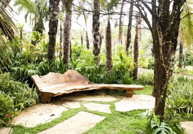 Tận dụng cây đổ để phục vụ cộng đồng ảnh 3
