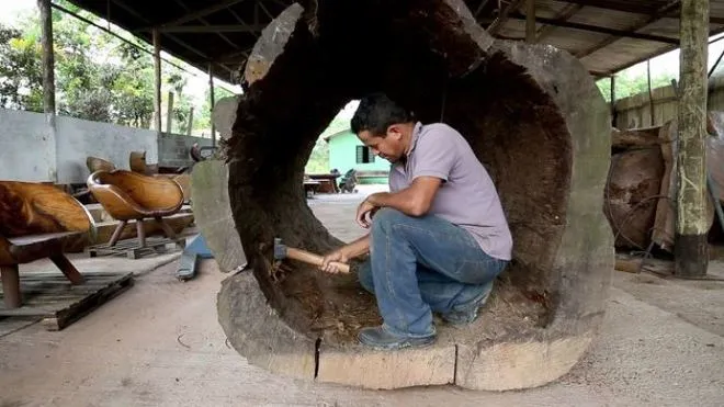 Tận dụng cây đổ để phục vụ cộng đồng ảnh 2