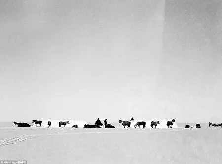 Mức độ sáng rõ của những bức ảnh thực sự khiến người xem kinh ngạc.