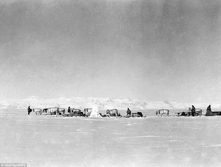 Mức độ sáng rõ của những bức ảnh thực sự khiến người xem kinh ngạc.