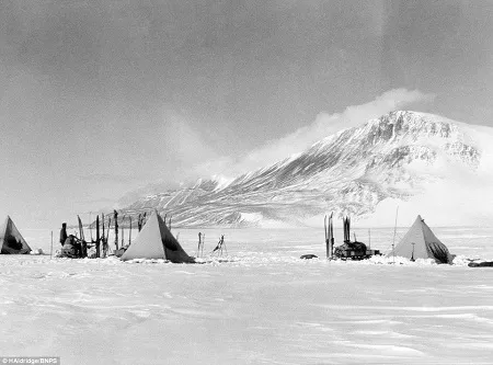 Mức độ sáng rõ của những bức ảnh thực sự khiến người xem kinh ngạc.