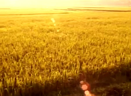 Heidi và mẹ nuôi người Mỹ