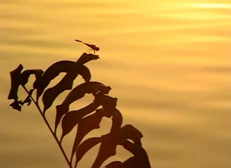 Những cảnh quay ở Việt Nam trong phim