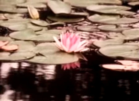 Những cảnh quay ở Việt Nam trong phim