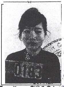 Truy nã cô gái 24 tuổi trộm cắp ảnh 1 Truy nã thiếu nữ 24 tuổi trộm cắp