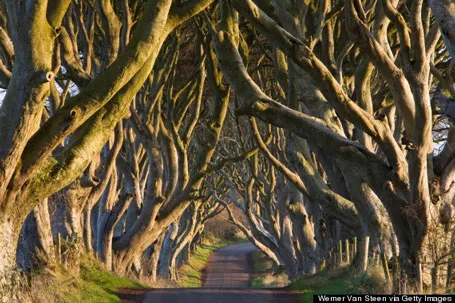 Đèo ở Dadès Gorges, High Atlas, Maroc. Con đường này nằm giữa hai dãy núi Atlas và Jbel Saghro.