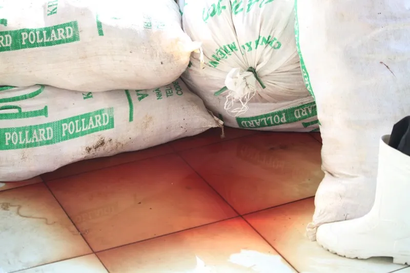 Bắt giữ hơn 1 tấn thịt gà hư thối ảnh 3