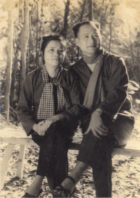 đại tướng, Hoàng Văn Thái