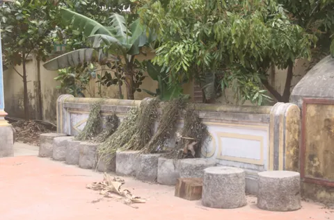 Nam Định, bảo tàng, đồng quê, Giao Thủy...