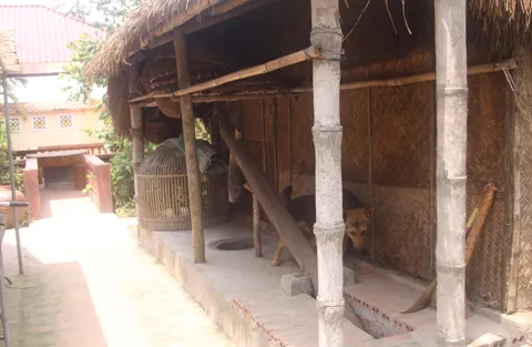 Nam Định, bảo tàng, đồng quê, Giao Thủy...