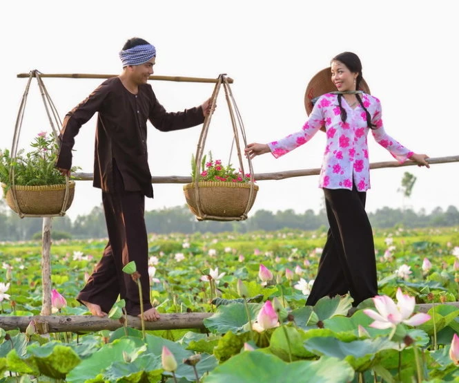 Trên Đồng Tháp Mười - Ảnh: V.Hiển