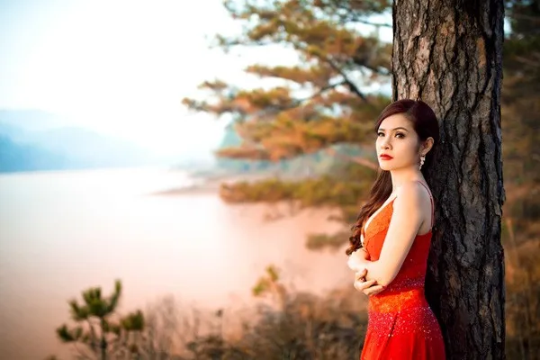 Tố Như qua đời tại Mỹ vào ngày 1-11-2014 khi mới bước sang tuổi 38. Sao Việt ra đi khi tóc còn xanh