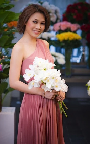 Mỹ Tâm, mặc đẹp, người đẹp, ca sĩ, thảm họa