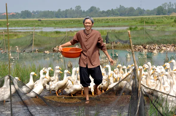 Những sao Việt không đẹp trai vẫn nổi tiếng ảnh 3 Cho đến hình ảnh người nông dân chân chất