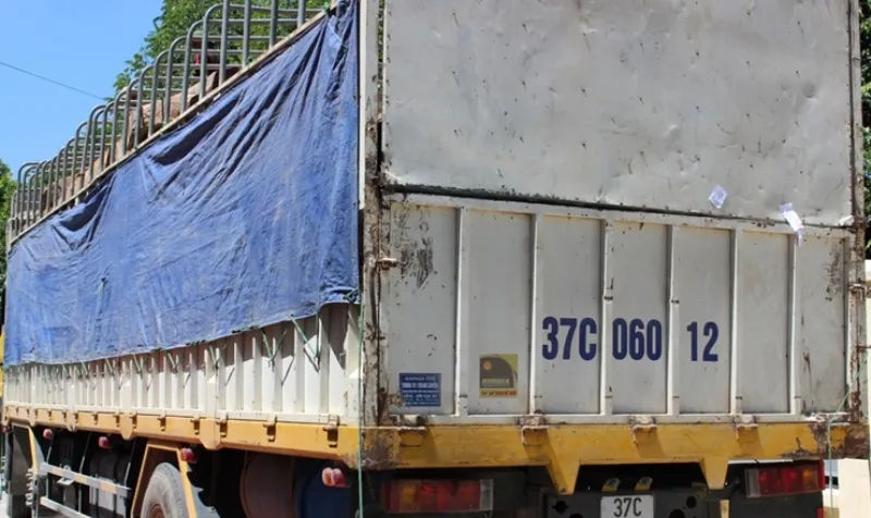 Truy tố nguyên trạm trưởng kiểm lâm 'làm luật' doanh nghiệp ảnh 2