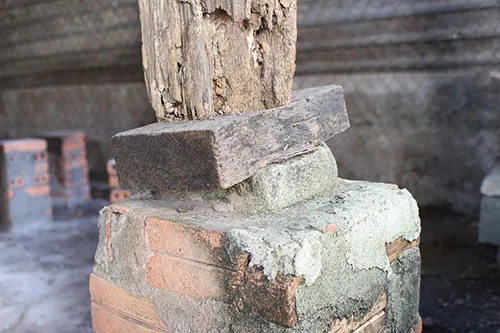 Đình cổ Sài Gòn xập xệ chờ 'chết' ảnh 3