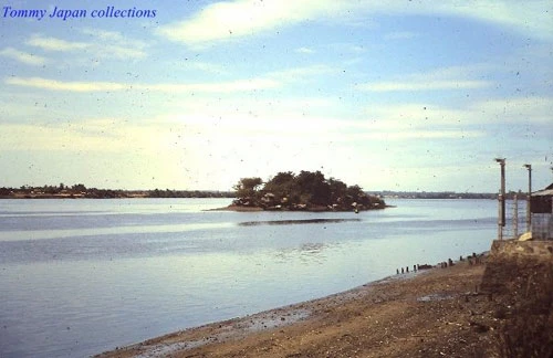 Bí ẩn Cù lao ‘biến mất’ trên sông Đồng Nai ảnh 2