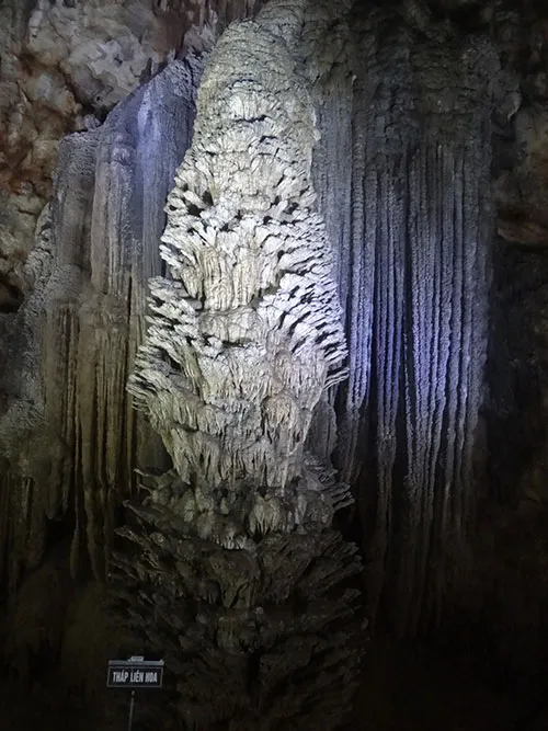 Những hình thù kỳ lạ ở động Thiên Đường ảnh 2 Những hình thù kỳ lạ ở động Thiên Đường ảnh 2