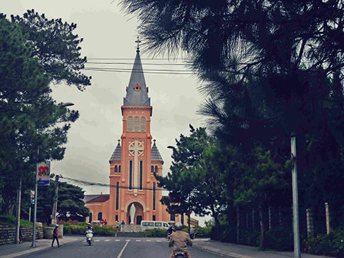 Đà Lạt dịu dàng vào thu ảnh 3