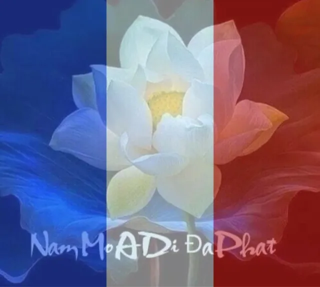 Á hậu Trương Thị May