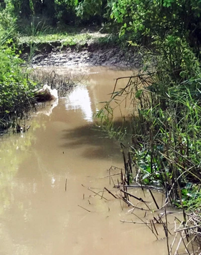 hang-chuc-canh-sat-truy-bat-yeu-rau-xanh-dim-chet-nguoi-phu-nu