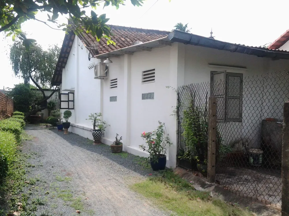 Số phận đặc biệt của người phụ nữ ‘Liệt phụ khả gia’ ảnh 3