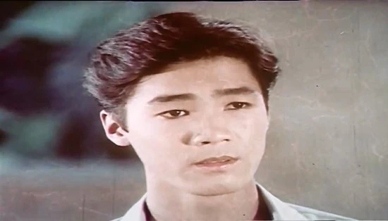 Lý Hùng, Diễm Hương, Việt Trinh