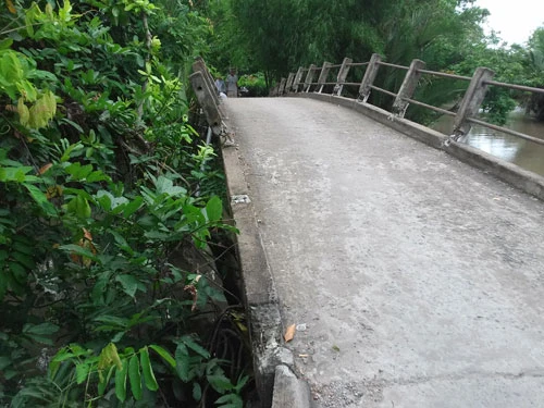 Trưởng ấp huy động người sửa lại lan can cầu bị phá ảnh 4