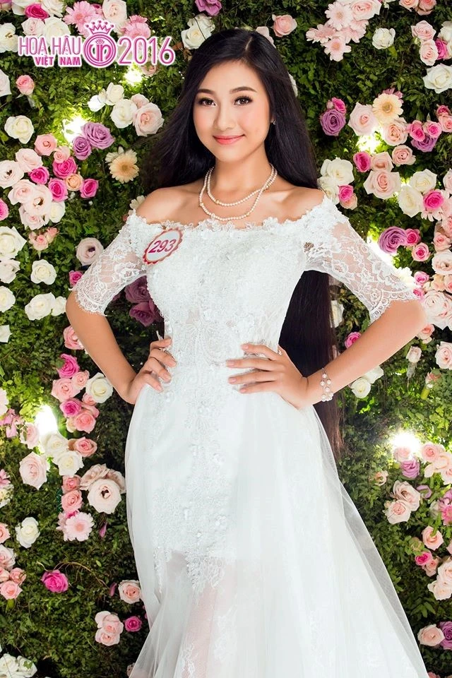 Diem mat 5 ung vien sang gia cho ngoi vi HHVN 2016 hinh anh 4