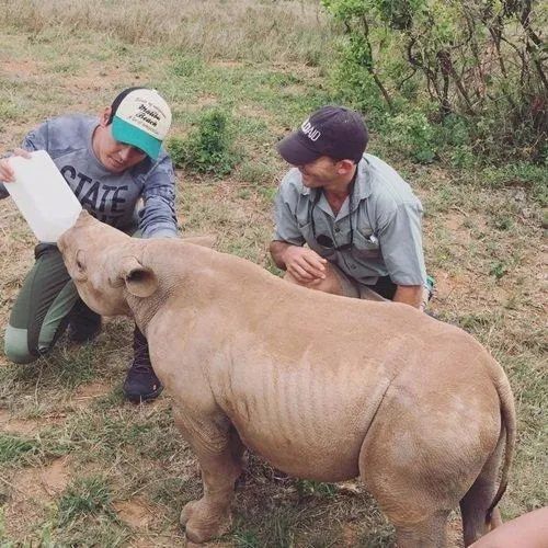 MC Phan Anh xuống tóc, vì sao? ảnh 3