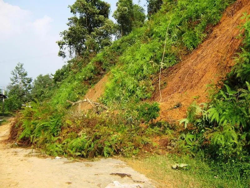  Quảng Nam: Mưa lớn, nhiều khu vực bị ngập nước ảnh 1