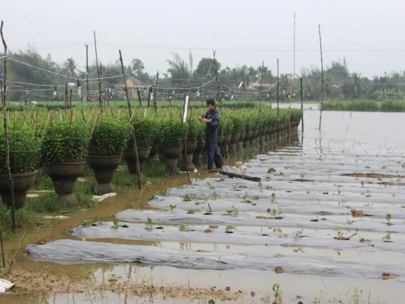 Quảng Ngãi: Đã có 6 người tử vong trong lũ ảnh 1