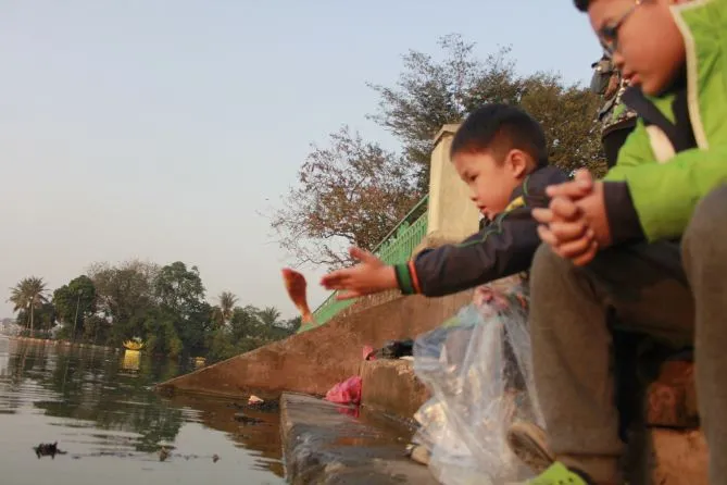 Phóng sinh hay sát sinh? ảnh 3 Kết quả hình ảnh cho thả cá chép