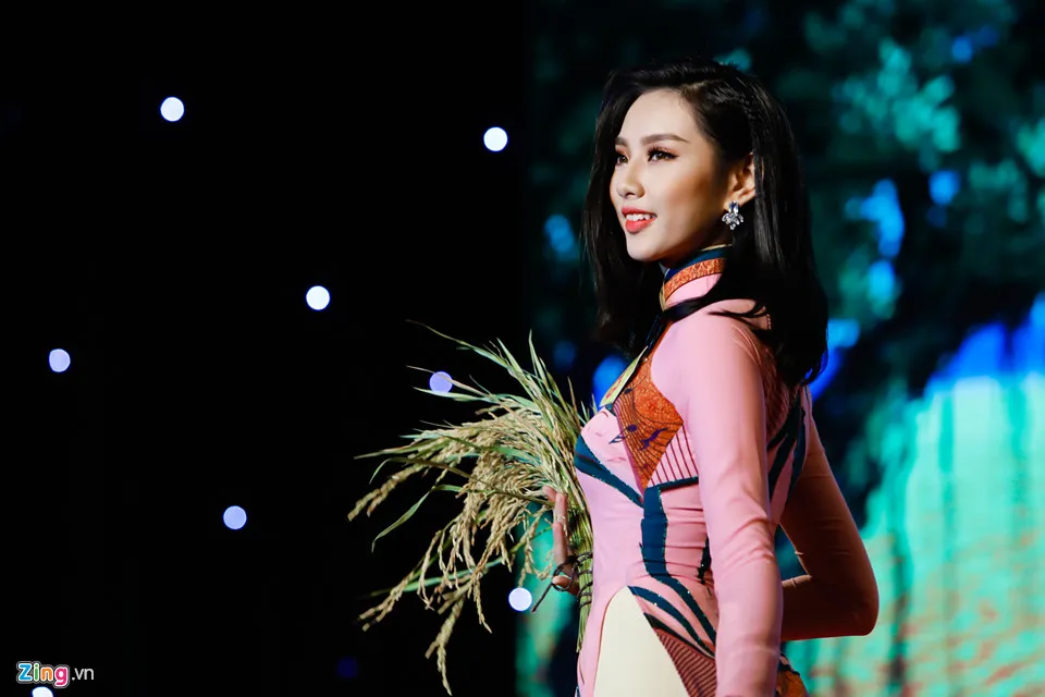 Khoanh khac trong dem chung ket Hoa khoi Nam Bo 2017 hinh anh 6