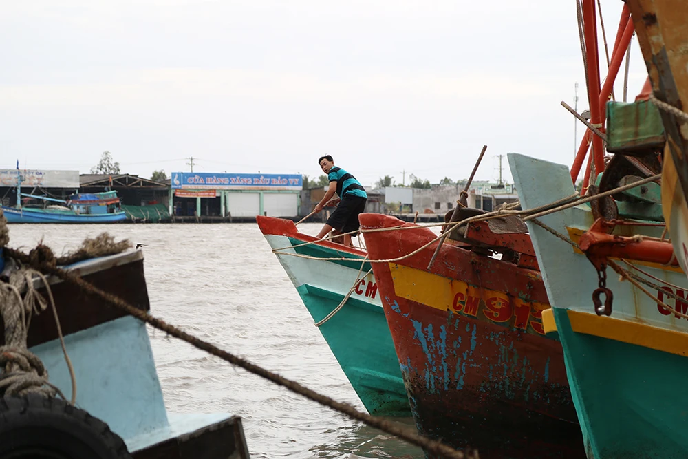 Hình ảnh người dân Cà Mau chống bão số 16 ảnh 9