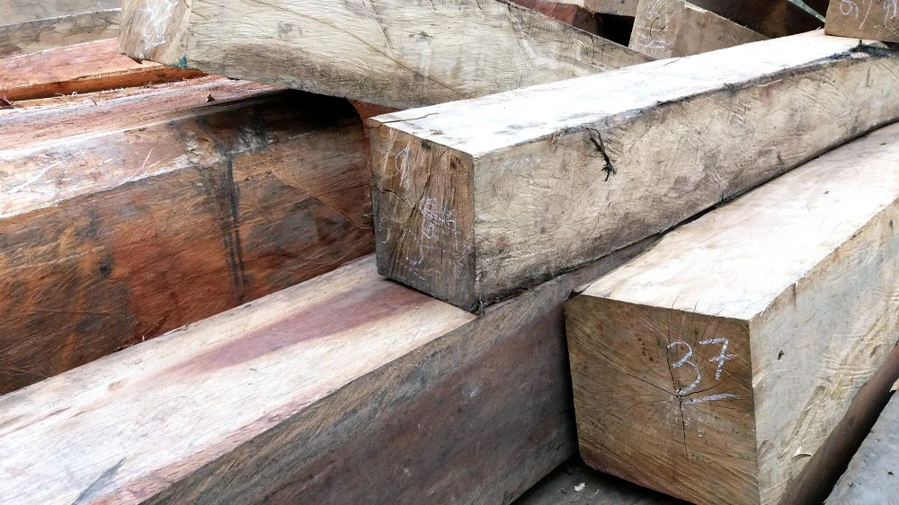 Bắt khẩn cấp 1 giám đốc công ty kinh doanh gỗ ảnh 1