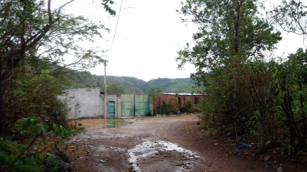 Bắt khẩn cấp 1 giám đốc công ty kinh doanh gỗ ảnh 2