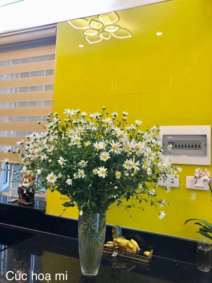 Xứ Đà tôi cũng đã có nàng họa mi ảnh 4