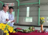 Lễ vật 'hóa vàng' mùng 3 tết Canh Tý 2020 ảnh 16 Lễ vật cúng Tân niên mùng 1 Tết Canh Tý 2020