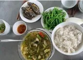 Về xứ cát ăn món canh chua xương rồng nấu cá lóc
