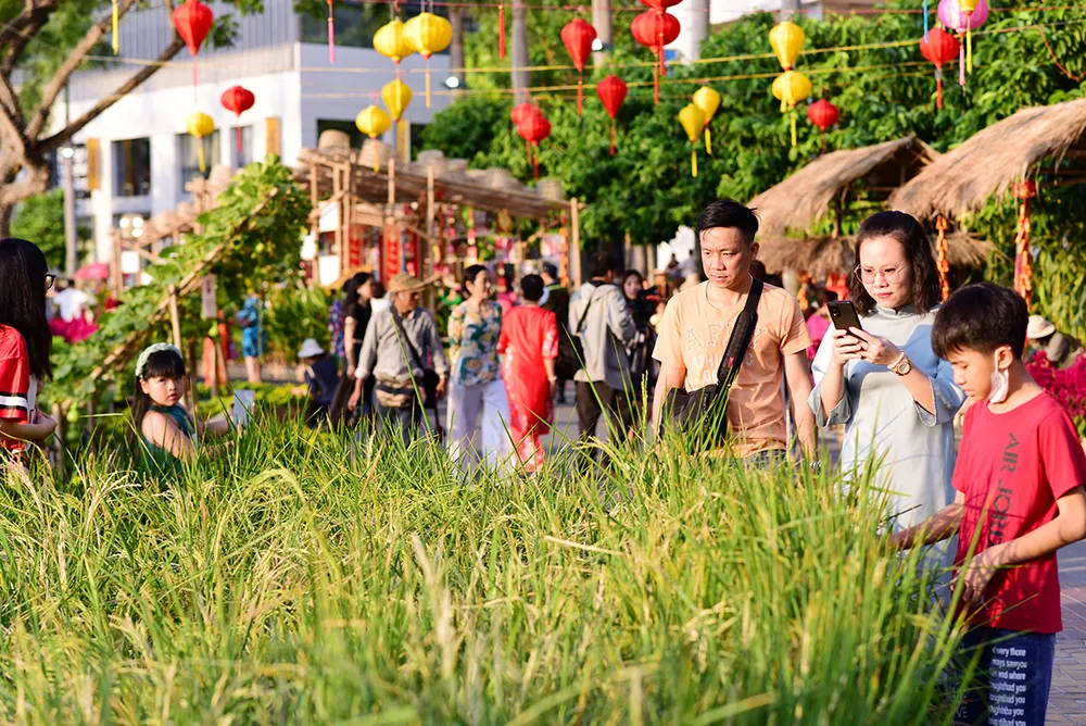 Tiểu cảnh ruộng lúc thu hút nhiều khách tham quan.JPG