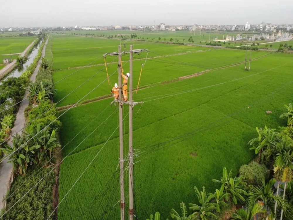 Công nhân Điện lực Hải Hậu - Nam Định kiểm tra sứ lộ trên đường dây trung thế 22 kV. EVNNPC đẩy nhanh dự án 110kv cung ứng điện mùa nắng nóng.jpg