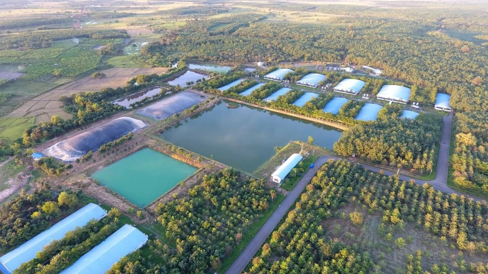 C.P. Việt Nam cam kết bền vững hướng đến mục tiêu Net Zero.JPG