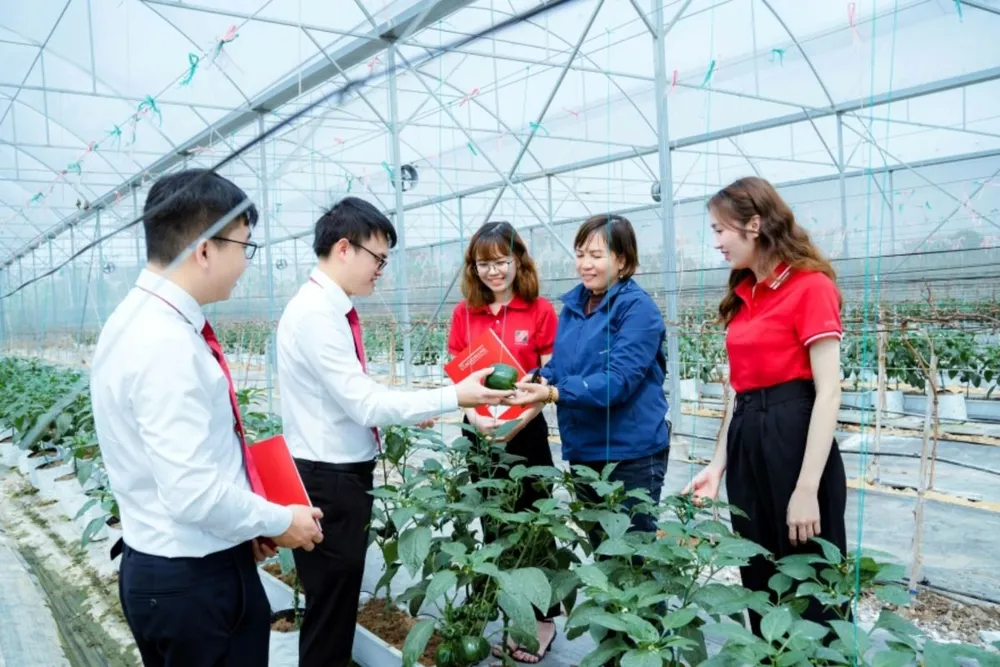 Agribank đồng hành tháo gỡ khó khăn, đẩy mạnh cung ứng vốn nền kinh tế.jpg