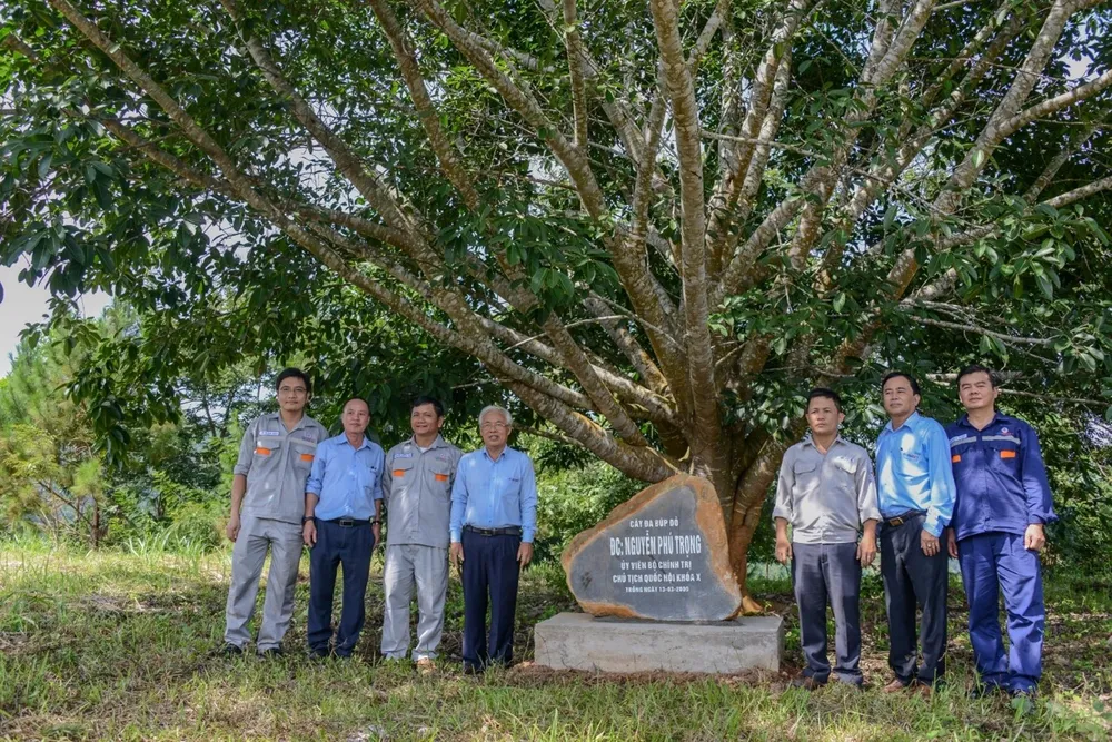 Ban lãnh đạo Công ty Thủy điện Đồng Nai qua các thời kỳ chụp ảnh lưu niệm tại cây Đa búp đỏ do Tổng Bí thư Nguyễn Phú Trọng (khi đó là Chủ tịch Quốc Hội) trồng lưu dấu ấn kỷ niệm vào ngày 13-3-2009 tại công trình Nhà máy Thủy điện Đồng Nai 3. Hồi ức 15 năm về chuyến thăm của Tổng Bí thư Nguyễn Phú Trọng tại công trình Nhà máy Thủy điện Đồng Nai 3.jpg