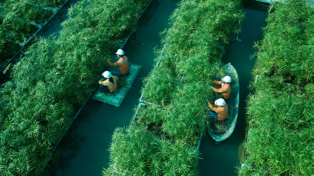 Song hành với chủ trương của Chính phủ, Masan cam kết đạt phát thải ròng bằng 0.jpg