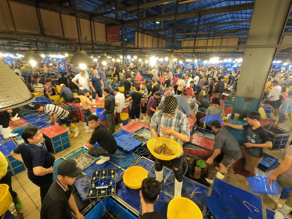 Chợ đầu mối Nông sản Thực phẩm Bình Điền cung cấp gần 80% hải sản tươi sống cho TP.HCM và các khu vực lân cận. Ảnh: SATRA Chợ đầu mối Nông sản Thực phẩm Bình Điền cung cấp gần 80% hải sản tươi sống cho TP.HCM và các khu vực lân cận.jpg