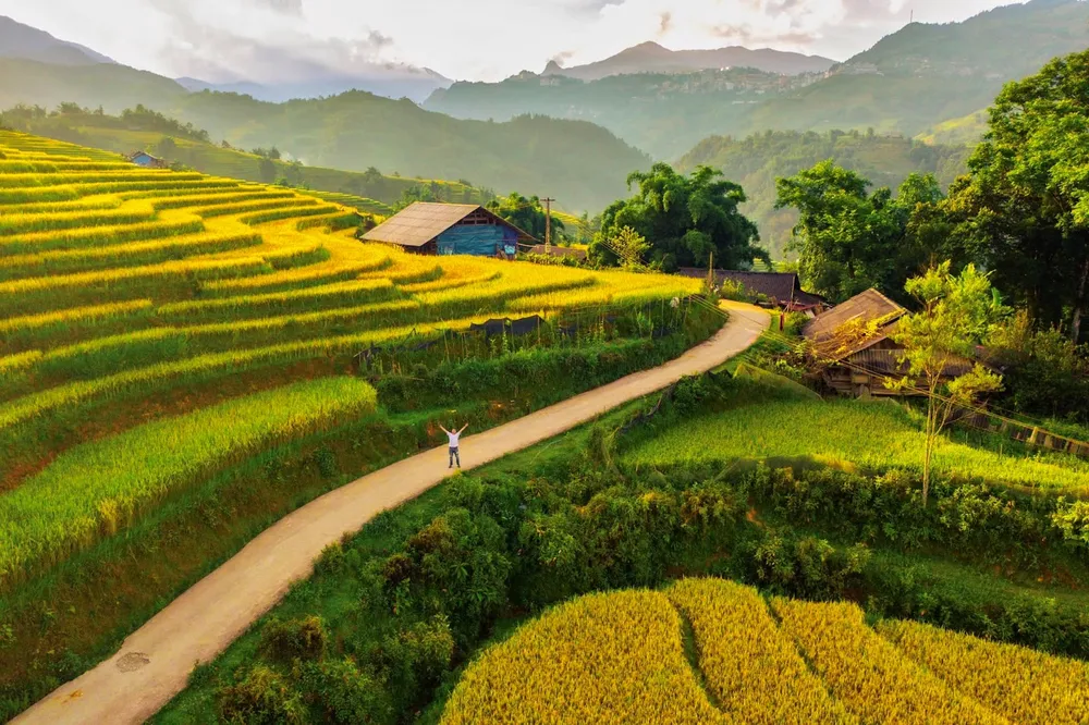 Thời điểm đẹp nhất năm của Sa Pa khi lúa đang chín vàng trên những thửa ruộng bậc thang. Những điểm đến để trải nghiệm mùa đẹp nhất tại miền Bắc Việt Nam.jpg