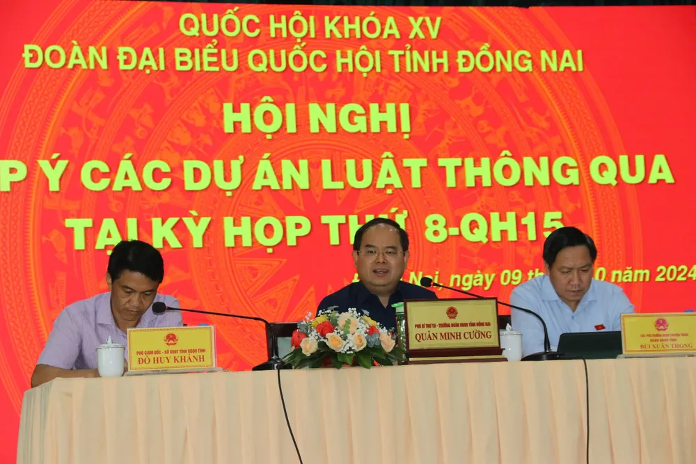 dien-luc-mien-nam-gop-y-du-thao-luat-dien-luc-sua-doi.jpg